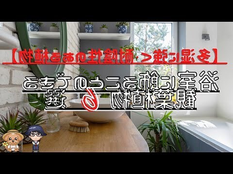 浴室 植物